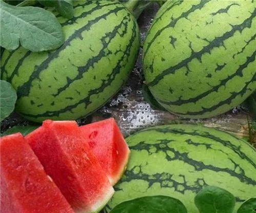 有什么吃瓜平台,一网打尽娱乐圈最新动态