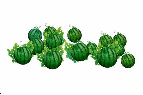 阿鉴吃瓜,揭秘娱乐圈那些不为人知的幕后故事