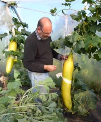 吃瓜看吐,揭秘娱乐圈背后的真相与内幕