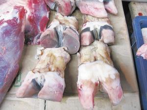 牛大瓜吃牛蹄,一场别开生面的美食之旅