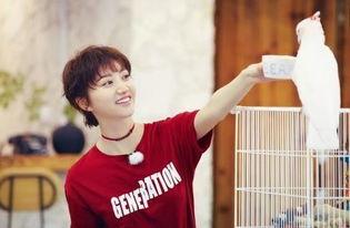 宫俊吃瓜,揭秘娱乐圈背后的那些事儿