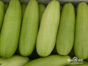 白瓜条怎么吃最好,轻松解锁美味新境界