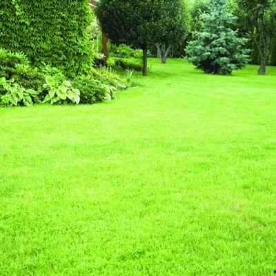 草地吃瓜头像,夏日悠闲生活图鉴