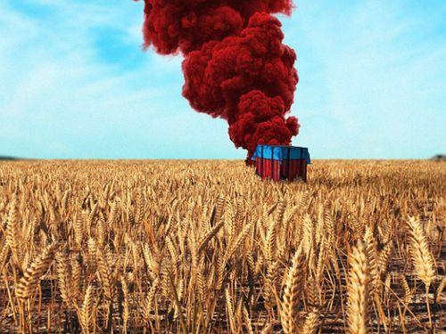 怎么打吃鸡拍树瓜视频,揭秘吃鸡拍树瓜视频的独家技巧与实战攻略