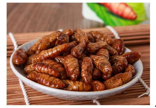 蛹蛹吃瓜,探寻昆虫世界中的奇妙食性