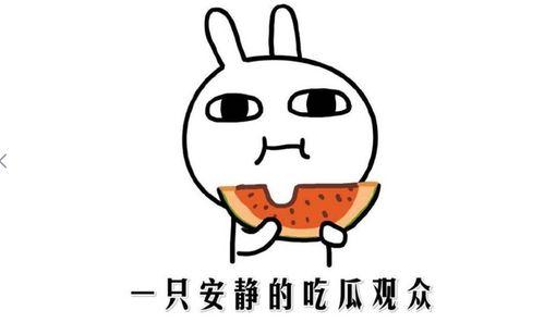 吃瓜群众心得,揭秘娱乐圈背后的真相与笑料